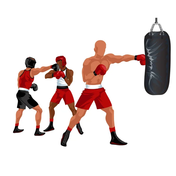 Sportsman boxing punching bag. Professional boxer in red shorts and gloves hitting sandbag vector illustration.