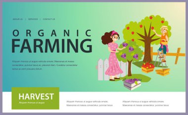 İki kız meyve bahçesi düz poster meyve toplama