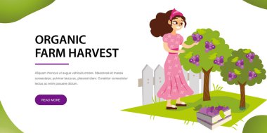 Onun organik hasat zaman düz yatay banner