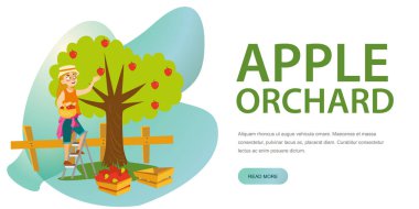 Elma malzeme çekme yatay banner