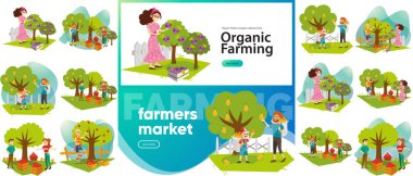 Organik Tarım ve çiftçi kümesi Pazar