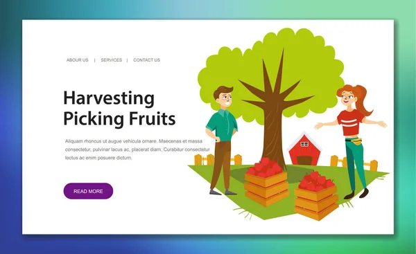 Betakarítás, szedés gyümölcs vízszintes banner — Stock Vector