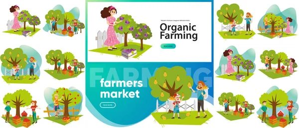 Organik Tarım ve çiftçi kümesi Pazar