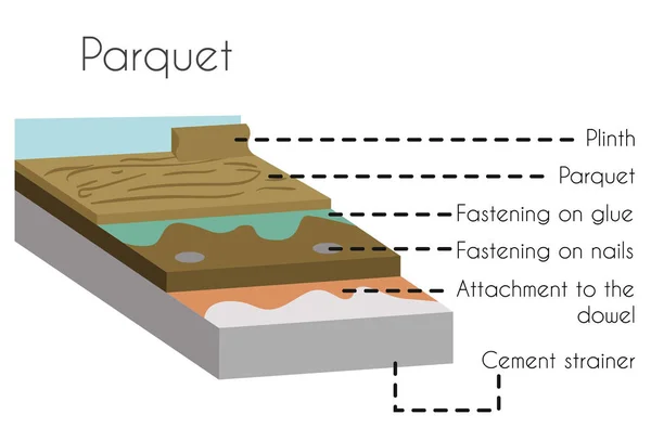Parquet en cartel cortado con nombres de partes de texto — Archivo Imágenes Vectoriales