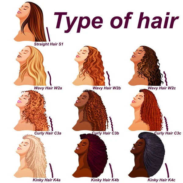 显示所有类型和标记的头发类型图表 — 图库矢量图片