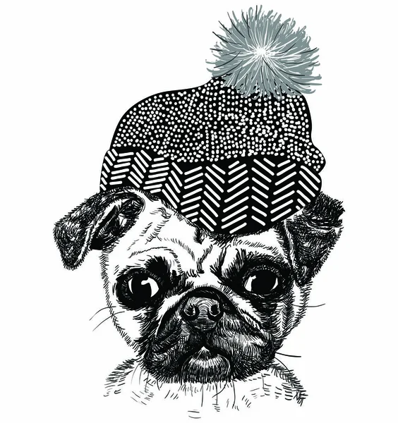 Cartoon fashionable funny pug in stylish hat — Stock Vector