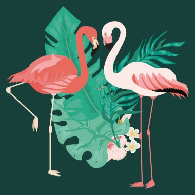 Tropikal pembe flamingo kuşları ve egzotik bitkiler