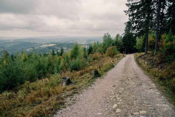 Forest Path in Krkonose Mountain in Czechia. Cloudy weather.