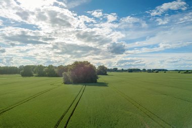 Tarım alanlarının havadan görünüşü. Kırsal, Tarım Manzarası Havacılık Görünümü.