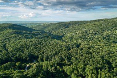 Hava orman sahne Avrupa Orman. Ormanla kaplı dağ zirveleri ile güzel dağ manzarası.
