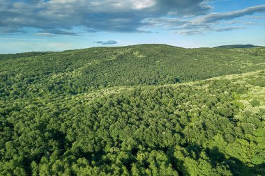 Hava orman sahne Avrupa Orman. Ormanla kaplı dağ zirveleri ile güzel dağ manzarası.