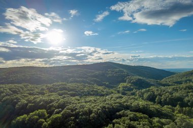 Hava güneşli yaz gün üstten ormanda. Güneş ve güneş patlaması.