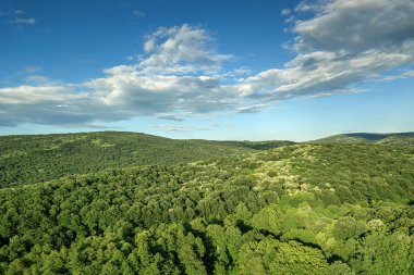 Hava orman sahne Avrupa Orman. Ormanla kaplı dağ zirveleri ile güzel dağ manzarası.