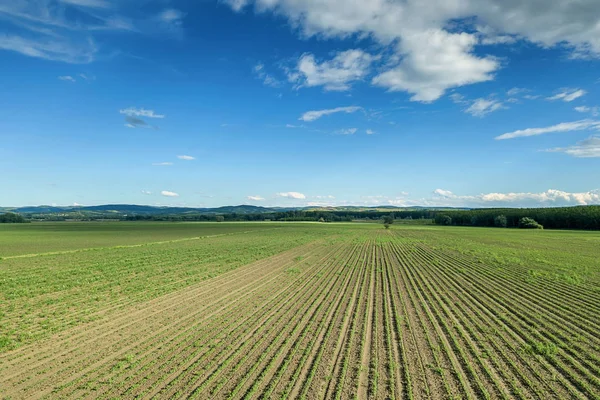 Mezőgazdasági Területek Légi Rálátása Vidék Mezőgazdasági Táj Légi Kilátás — Stock Fotó
