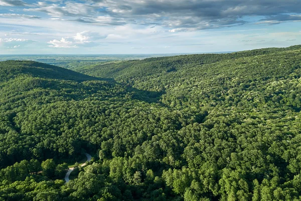 Aerial forest scenery European Forest. Beautiful mountain landscape, with mountain peaks covered with forest.