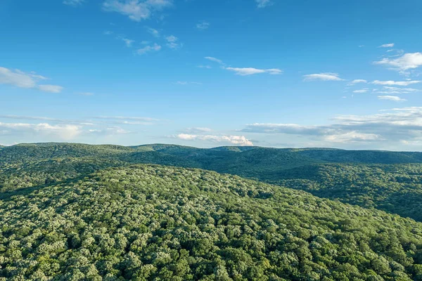 Aerial forest scenery European Forest. Beautiful mountain landscape, with mountain peaks covered with forest.