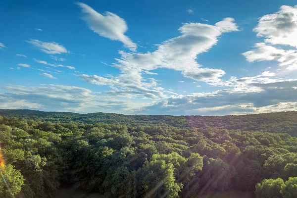 Aerial forest scenery European Forest. Beautiful mountain landscape, with mountain peaks covered with forest.