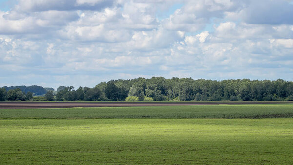 Summer Countryside Fields. Distant fields landscape.