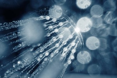 Su closeup akışının ile duş başlığı