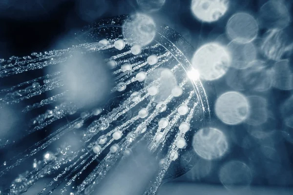 Su closeup akışının ile duş başlığı