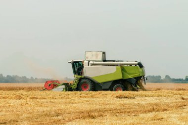 Buğday tarlasında çalışan hasat makinesini birleştirin. Buğday hasat ediyorum..
