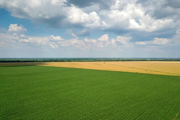 Mezőgazdasági Területek Légi Rálátása Vidék Mezőgazdasági Táj Légi Kilátás — Stock Fotó
