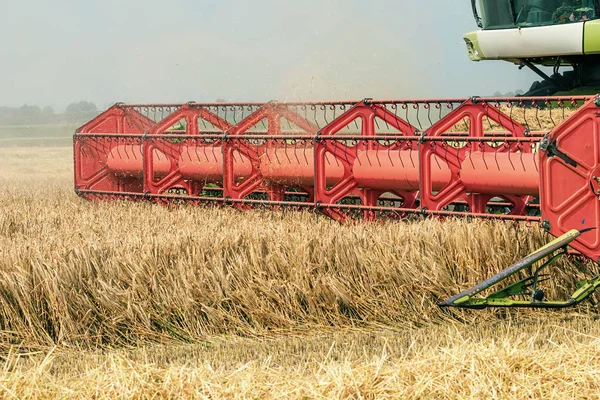 Closeup Combine harvesting a wheat field. Combine working the field.