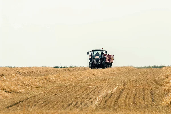 Combine Harvester Working Wheat Field Harvesting Wheat — Stock Photo, Image