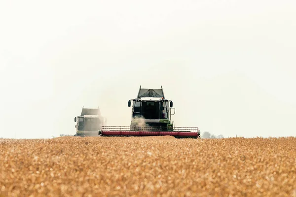 Combine Harvester Working Wheat Field Harvesting Wheat — Stock Photo, Image