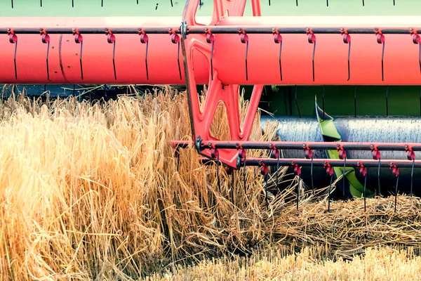 Closeup Combine Memanen Ladang Gandum Gabungan Kerja Lapangan — Stok Foto