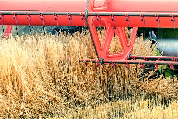 Closeup Combine Memanen Ladang Gandum Gabungan Kerja Lapangan — Stok Foto