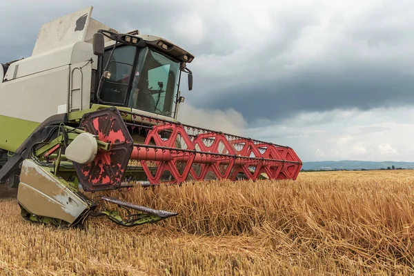 Closeup Combine harvesting a wheat field. Combine working the field.