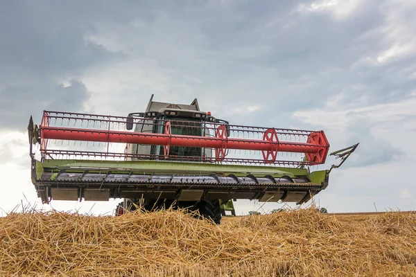 Combine Colheitadeira Trabalhando Campo Trigo Colheita Trigo — Fotografia de Stock