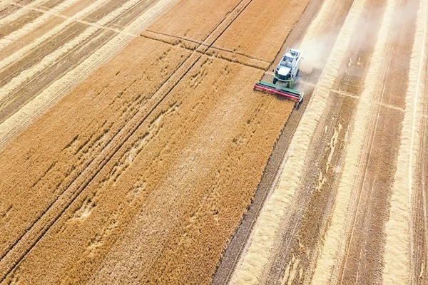 Combine harvester working on a wheat field. Combine harvester Aerial view.