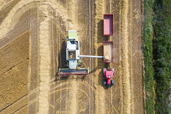 Combine harvester working on a wheat field. Combine harvester Aerial view.