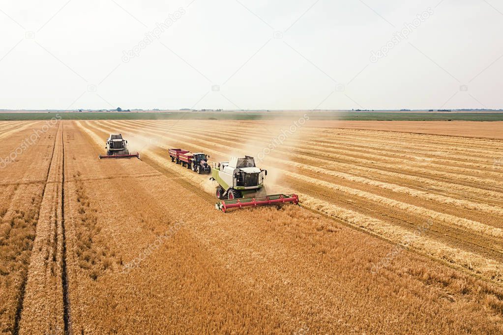 Combine harvester working on a wheat field. Combine harvester Aerial view. 