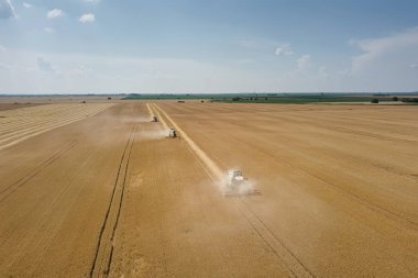 Buğday tarlasında çalışan hasat makinesini birleştirin. Biçici Hava Görünümünü Birleştir. 