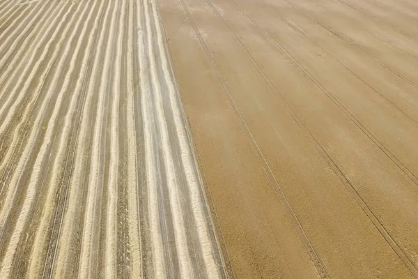 Een Echt Uitzicht Akkers Zonnige Zomerdag Tarweoogst — Stockfoto