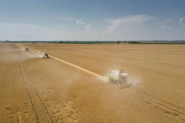 Combine Colheitadeira Trabalhando Campo Trigo Combine Harvester Vista Aérea — Fotografia de Stock