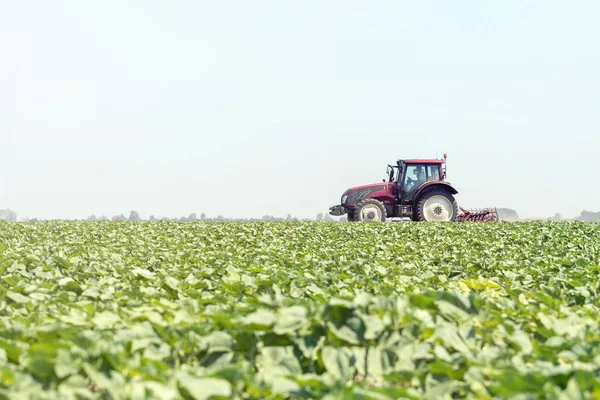 Traktor Lapangan Hijau Mesin Pertanian — Stok Foto