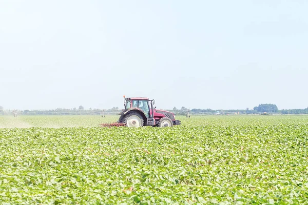 Traktor Lapangan Hijau Mesin Pertanian — Stok Foto