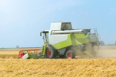 Buğday tarlasını birleştirmek. Sahada çalışmayı birleştir.