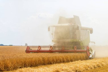 Buğday tarlasını birleştirmek. Sahada çalışmayı birleştir.