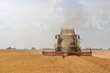Buğday tarlasını birleştirmek. Sahada çalışmayı birleştir.