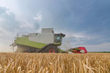 Buğday tarlasını birleştirmek. Sahada çalışmayı birleştir.