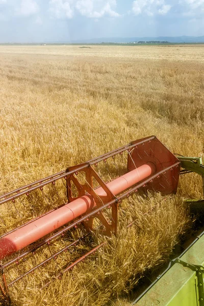 Gabungan Memanen Ladang Gandum — Stok Foto