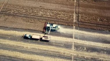 Buğday tarlasında çalışan hasat makinesini birleştirin. Biçici Hava Görünümünü Birleştir. 