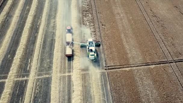 Combineer Oogstmachine Werkend Een Tarweveld Combineer Oogstzicht Vanuit Lucht — Stockvideo