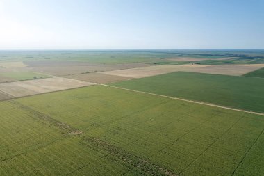 Yaz alanları anteni. Hava yeşil alanı edersiniz. Tarım alanı hava.