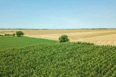 Yaz alanları anteni. Hava yeşil alanı edersiniz. Tarım alanı hava.